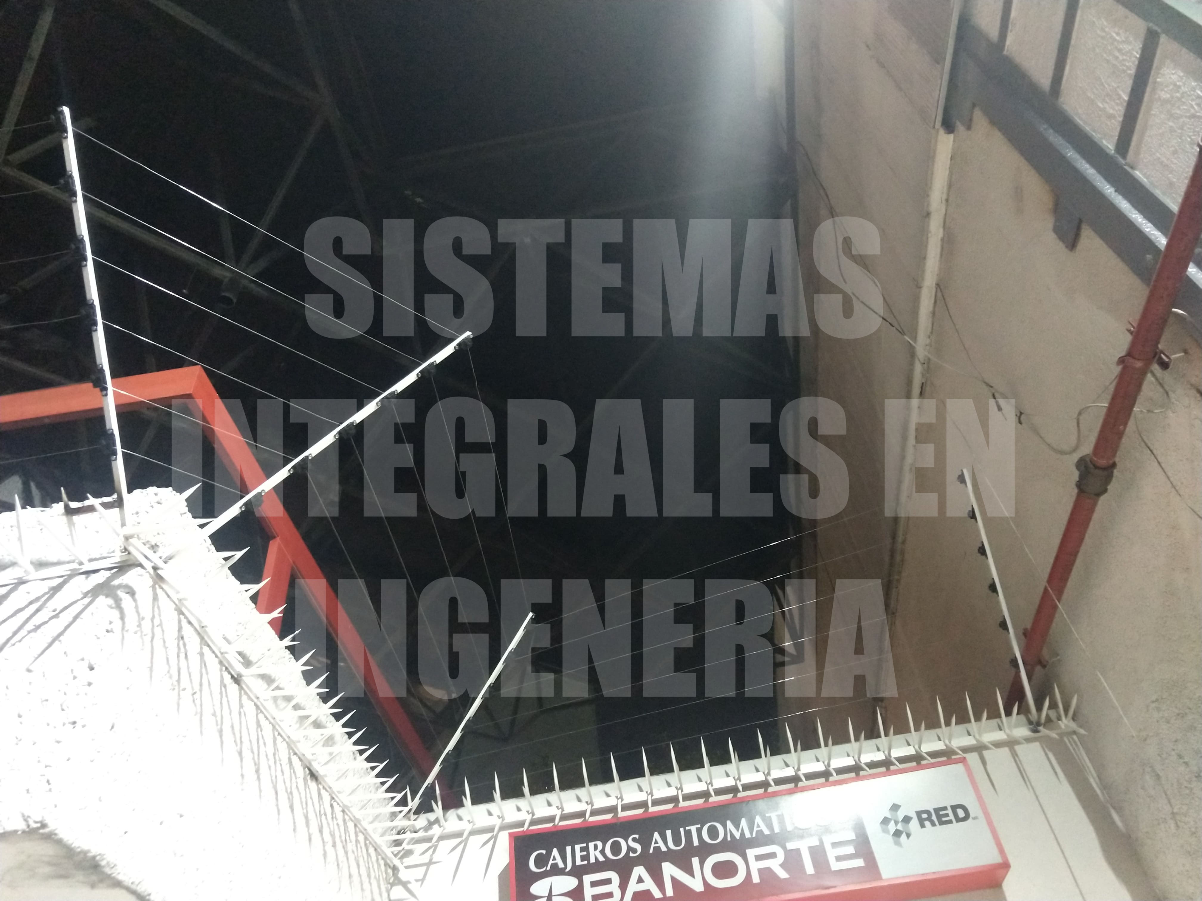 Sistema-Integrales-En-Ingeneria